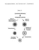 COMPOSITIONS AND METHODS FOR THE TREATMENT OF KRABBE AND OTHER     NEURODEGENERATIVE DISEASES diagram and image