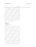 COMPOSITIONS AND METHODS FOR THE TREATMENT OF KRABBE AND OTHER     NEURODEGENERATIVE DISEASES diagram and image