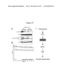 COMPOSITIONS AND METHODS FOR THE TREATMENT OF KRABBE AND OTHER     NEURODEGENERATIVE DISEASES diagram and image