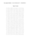 COMPOSITIONS AND METHODS FOR THE TREATMENT OF KRABBE AND OTHER     NEURODEGENERATIVE DISEASES diagram and image