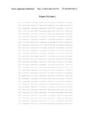 COMPOSITIONS AND METHODS FOR THE TREATMENT OF KRABBE AND OTHER     NEURODEGENERATIVE DISEASES diagram and image