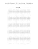 COMPOSITIONS AND METHODS FOR THE TREATMENT OF KRABBE AND OTHER     NEURODEGENERATIVE DISEASES diagram and image