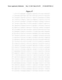 COMPOSITIONS AND METHODS FOR THE TREATMENT OF KRABBE AND OTHER     NEURODEGENERATIVE DISEASES diagram and image