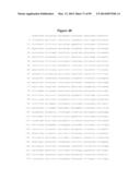 COMPOSITIONS AND METHODS FOR THE TREATMENT OF KRABBE AND OTHER     NEURODEGENERATIVE DISEASES diagram and image