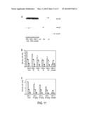 PRODUCTION AND PURIFICATION OF RECOMBINANT ARYLSULFTASE diagram and image