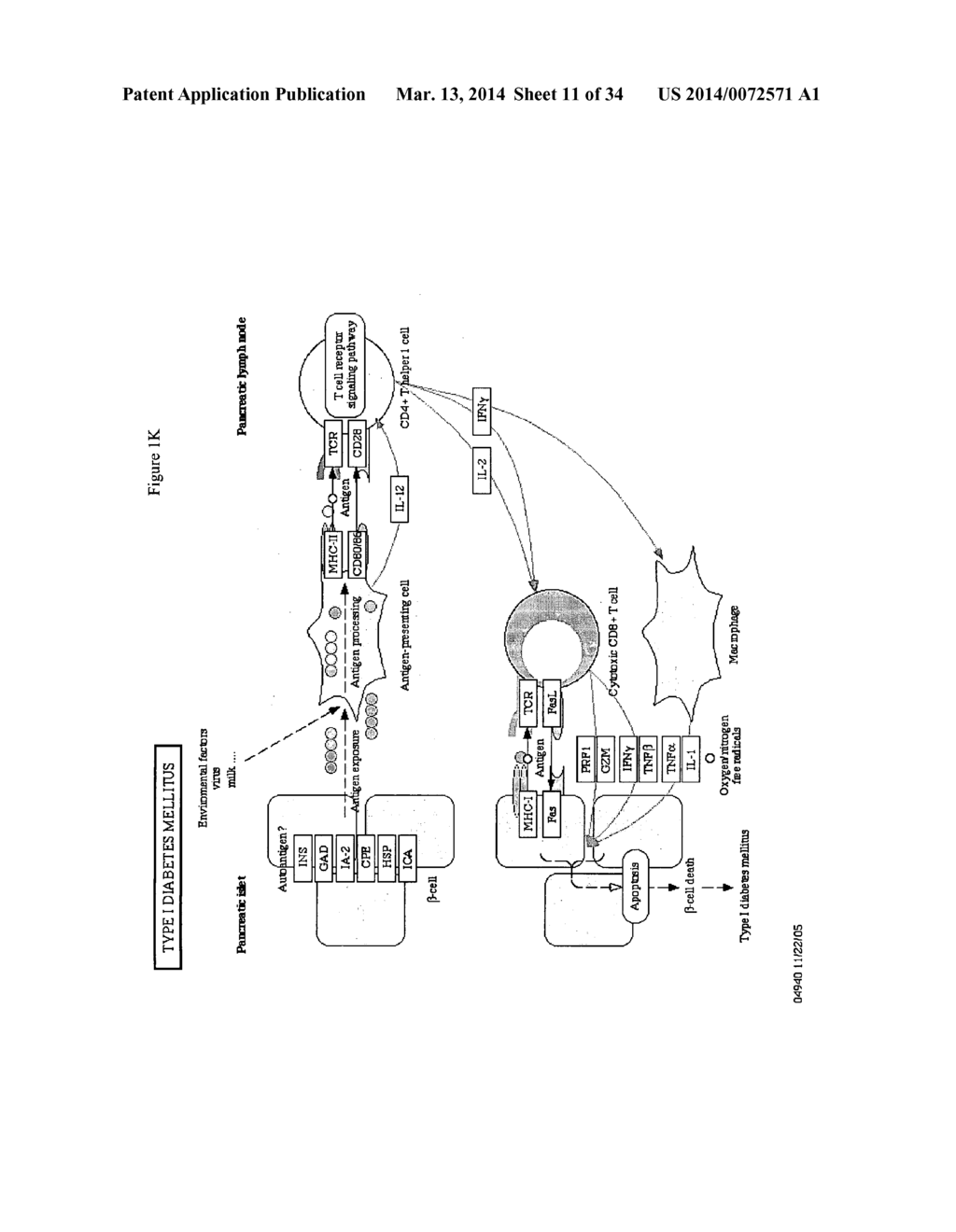 OSTEOPOROSIS ASSOCIATED MARKERS AND METHODS OF USE - diagram, schematic, and image 12