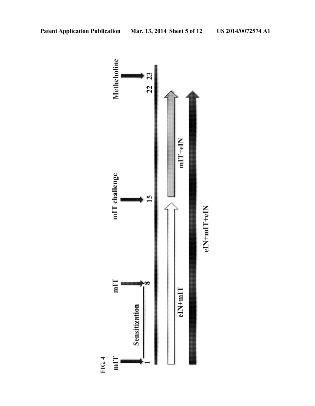 METHODS OF USING IMMUNOMODULATING PEPTIDE FOR TREATING OR PREVENTING     INFLAMMATORY RELATED DISEASES - diagram, schematic, and image 06