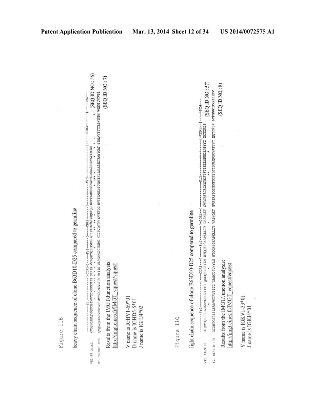 RSV-SPECIFIC BINDING MOLECULES AND MEANS FOR PRODUCING THEM - diagram, schematic, and image 13