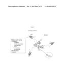 EXPRESSION OF CHIMERIC KSAC PROTEIN AND METHOD OF PRODUCING SOLUBLE     PROTEINS BY HIGH PRESSURE diagram and image