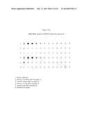 EXPRESSION OF CHIMERIC KSAC PROTEIN AND METHOD OF PRODUCING SOLUBLE     PROTEINS BY HIGH PRESSURE diagram and image