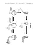 MICELLE ENCAPSULATION OF A COMBINATION OF THERAPEUTIC AGENTS diagram and image