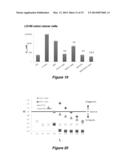 MICELLE ENCAPSULATION OF A COMBINATION OF THERAPEUTIC AGENTS diagram and image