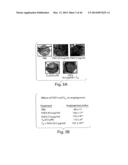 THYROID HORMONE ANALOGS AND METHODS OF USE diagram and image