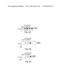 THYROID HORMONE ANALOGS AND METHODS OF USE diagram and image