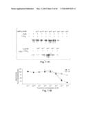 THYROID HORMONE ANALOGS AND METHODS OF USE diagram and image