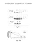 THYROID HORMONE ANALOGS AND METHODS OF USE diagram and image