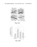 THYROID HORMONE ANALOGS AND METHODS OF USE diagram and image