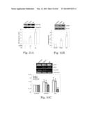 THYROID HORMONE ANALOGS AND METHODS OF USE diagram and image