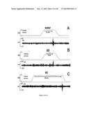 CANCER WITH METABOLIC THERAPY AND HYPERBARIC OXYGEN diagram and image