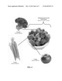 HYDROCOLLOID STABILIZED DEHYDRATED FOOD FOAM diagram and image