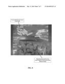 HYDROCOLLOID STABILIZED DEHYDRATED FOOD FOAM diagram and image