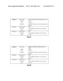 LAMINATE PANELS PRODUCED FROM BIOPOLYMERS diagram and image