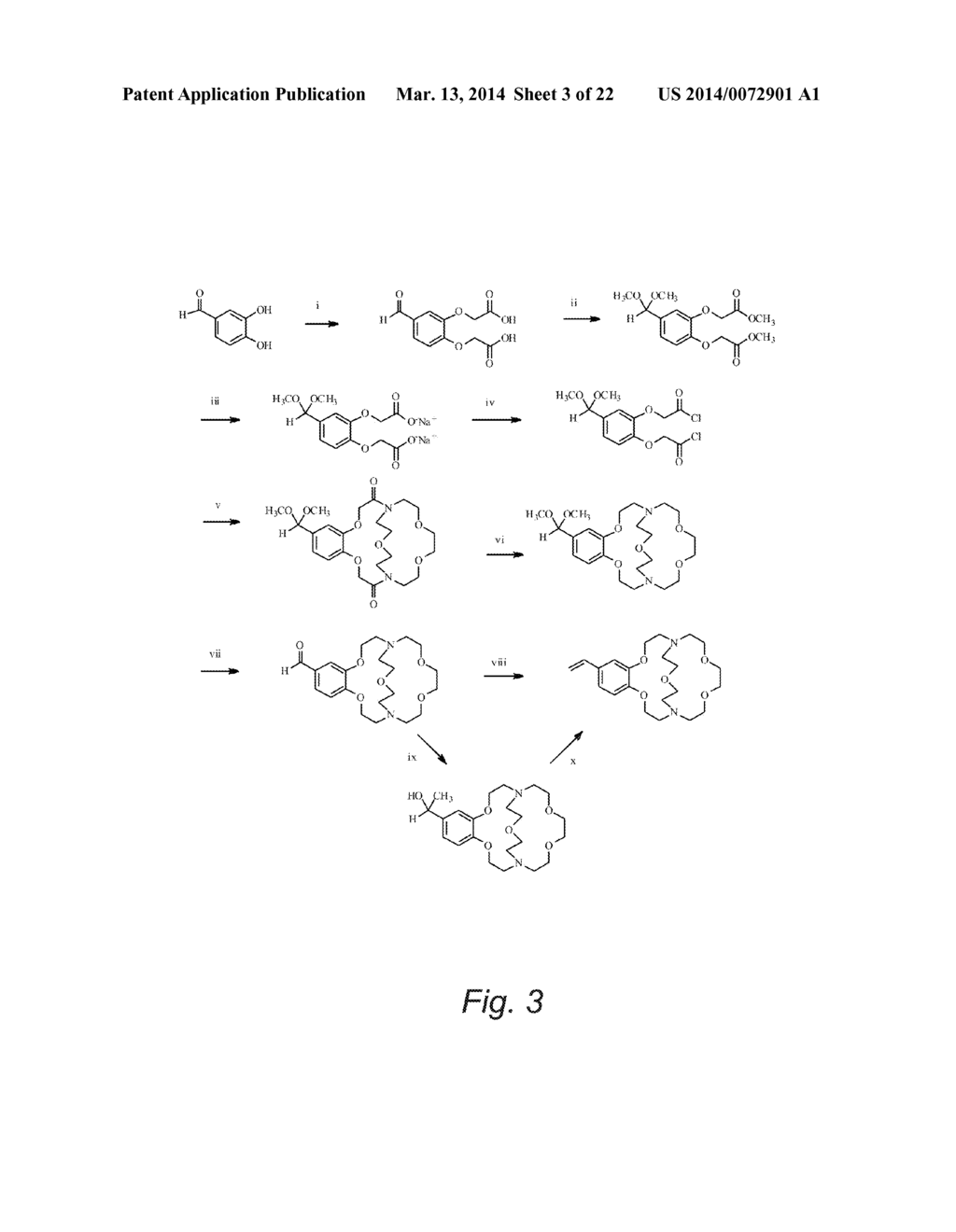 Crown Ether Containing PEM Electrode - diagram, schematic, and image 04