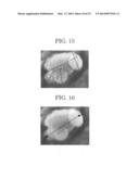 CARRIER FOR DEVELOPING AN ELECTROSTATIC LATENT IMAGE, DEVELOPER AND IMAGE     FORMING APPARATUS diagram and image