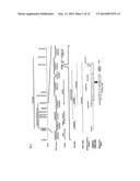 LAFORA S DISEASE GENE diagram and image