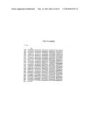 LAFORA S DISEASE GENE diagram and image