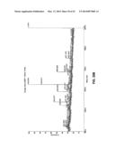 Fusion Constructs and Use of Same to Produce Antibodies with Increased Fc     Receptor Binding Affinity and Effector Function diagram and image