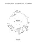 Fusion Constructs and Use of Same to Produce Antibodies with Increased Fc     Receptor Binding Affinity and Effector Function diagram and image