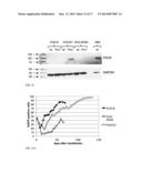 SCREENING AND ENRICHMENT SYSTEM FOR PROTEIN EXPRESSION IN EUKARYOTIC CELLS     USING A TRICISTRONIC EXPRESSION CASSETTE diagram and image