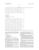 SCREENING AND ENRICHMENT SYSTEM FOR PROTEIN EXPRESSION IN EUKARYOTIC CELLS     USING A TRICISTRONIC EXPRESSION CASSETTE diagram and image