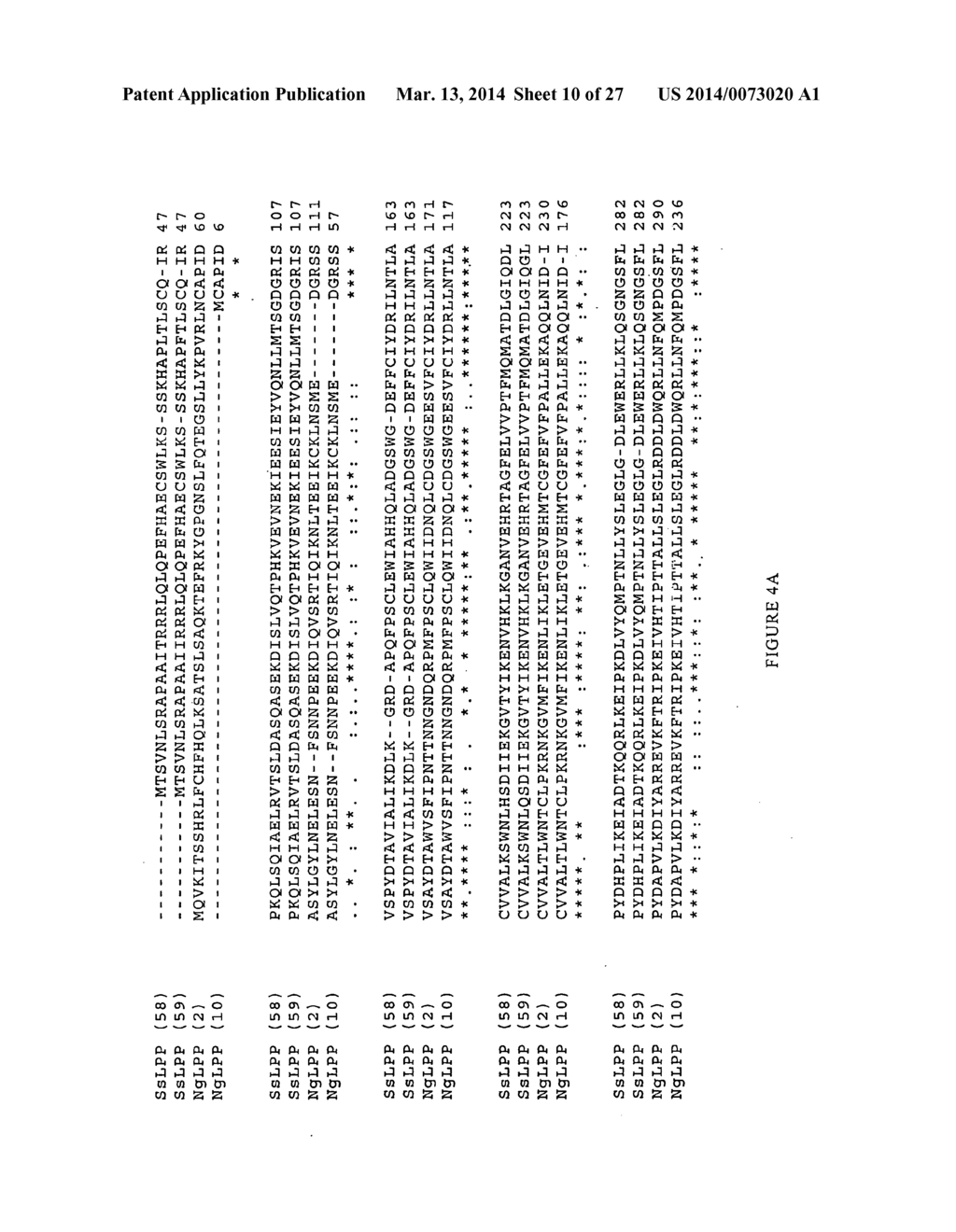 Sclareol and labdenediol diphosphate synthase polypeptides, encoding     nucleic acid molecules and uses thereof - diagram, schematic, and image 11