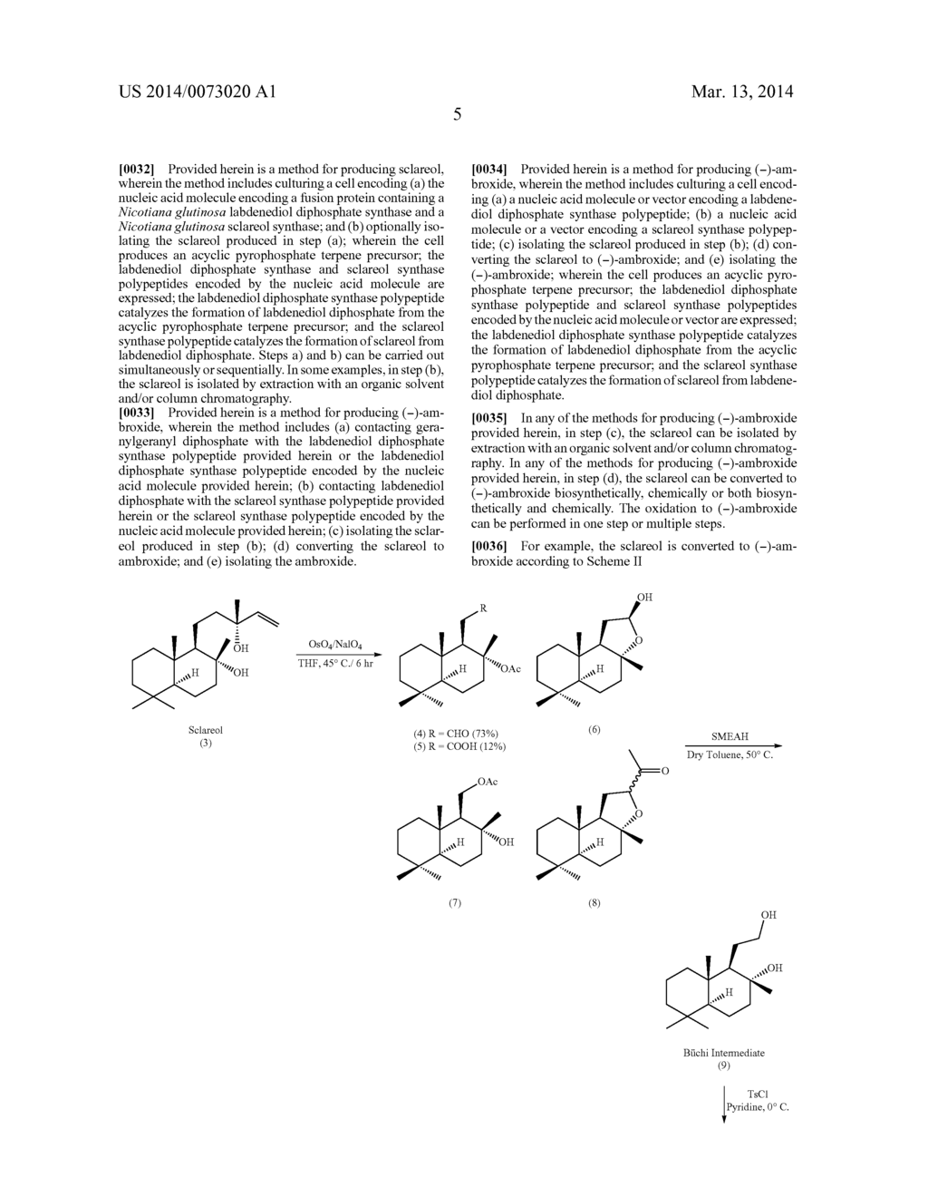 Sclareol and labdenediol diphosphate synthase polypeptides, encoding     nucleic acid molecules and uses thereof - diagram, schematic, and image 33