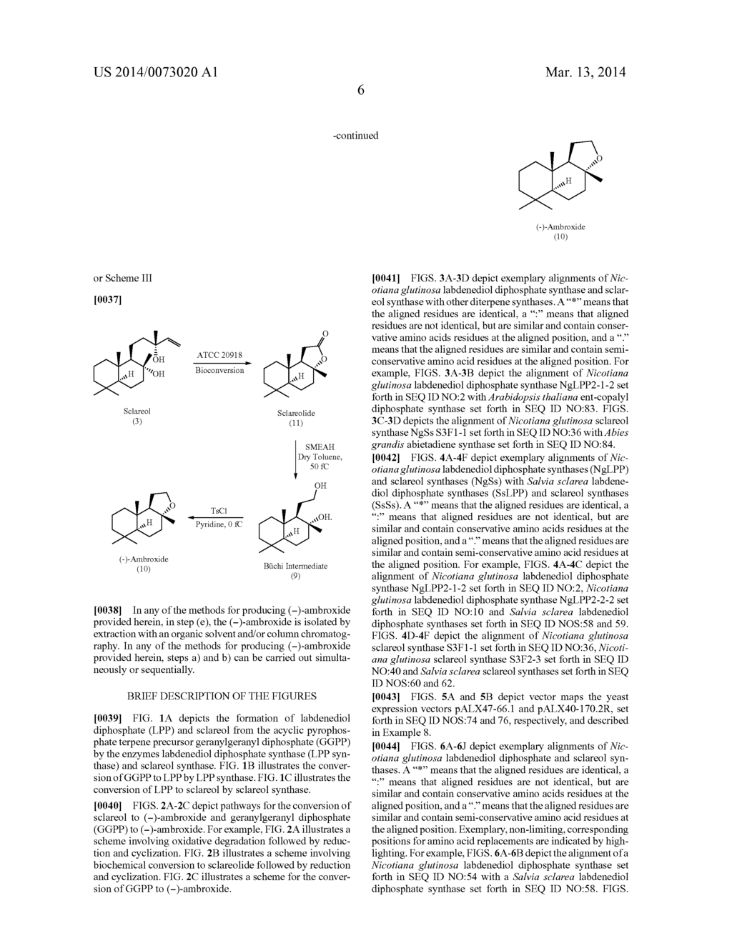 Sclareol and labdenediol diphosphate synthase polypeptides, encoding     nucleic acid molecules and uses thereof - diagram, schematic, and image 34