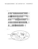 Phenylpyruvate Reductase and Method for Manufacturing Optically-Active     Phenyllactic Acid and 4-Hydroxyl-Phenyllactic Acid Using Same Enzyme diagram and image