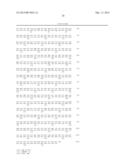 Phenylpyruvate Reductase and Method for Manufacturing Optically-Active     Phenyllactic Acid and 4-Hydroxyl-Phenyllactic Acid Using Same Enzyme diagram and image