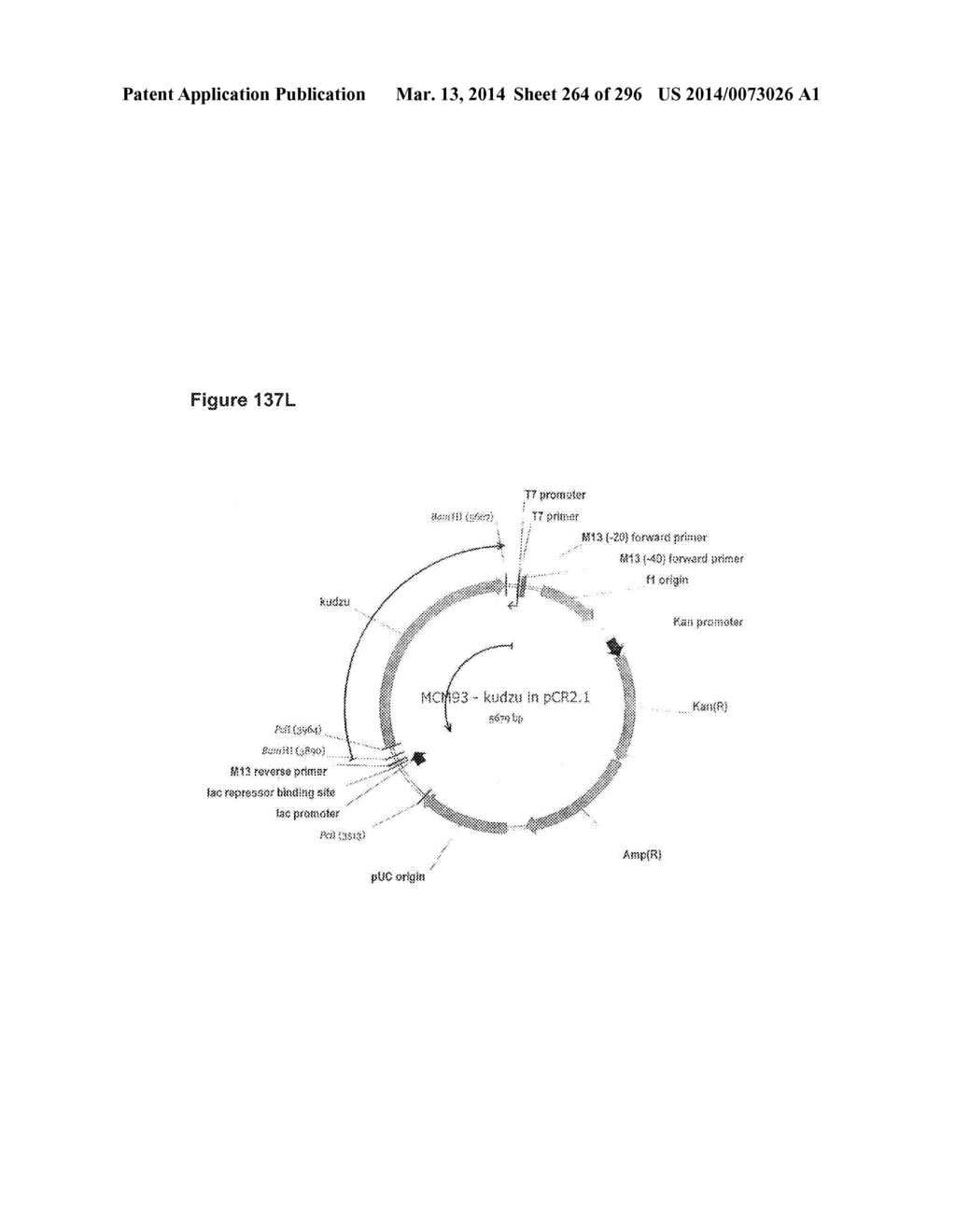 SYSTEMS USING CELL CULTURE FOR PRODUCTION OF ISOPRENE - diagram, schematic, and image 265