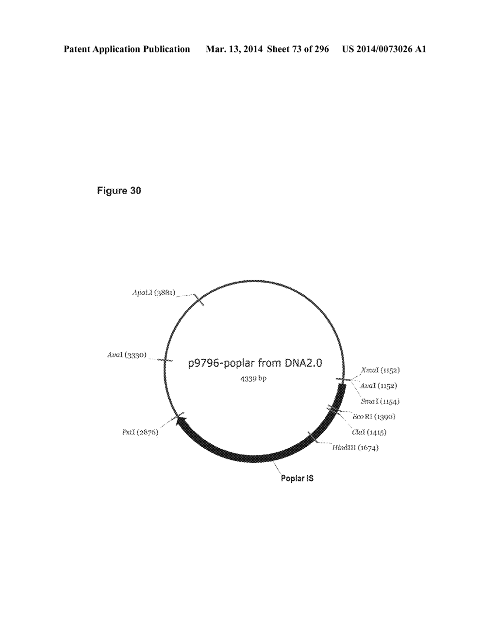 SYSTEMS USING CELL CULTURE FOR PRODUCTION OF ISOPRENE - diagram, schematic, and image 74