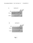 BATCHES OF RECOMBINANT ADENOVIRUS WITH ALTERED TERMINAL ENDS diagram and image