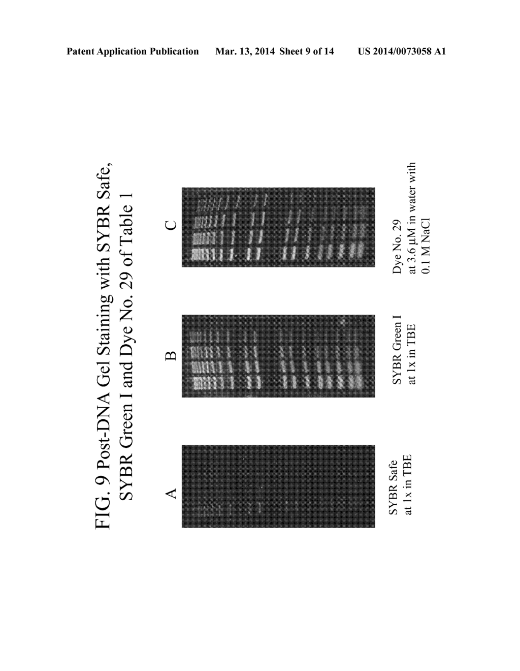 Methods of Using Dyes in Association with Nucleic Acid Staining or     Detection and Associated Technology - diagram, schematic, and image 10