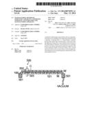 MANUFACTURING METHOD OF SEMICONDUCTOR DEVICE, SUPPORTING SUBSTRATE, AND     SEMICONDUCTOR MANUFACTURING APPARATUS diagram and image