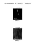 GROWTH REACTOR SYSTEMS AND METHODS FOR LOW-TEMPERATURE SYNTHESIS OF     NANOWIRES diagram and image