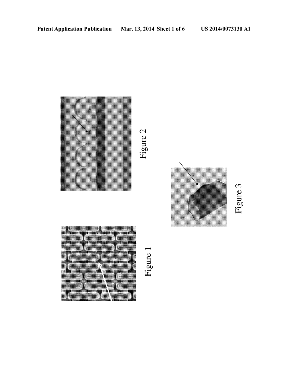 FORMING NICKEL-PLATINUM ALLOY SELF-ALIGNED SILICIDE CONTACTS - diagram, schematic, and image 02