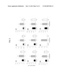 USE OF MICROBIAL BASED SOIL ADDITIVE TO MODULATE THE PHENYLPROPANOID     PATHWAY IN PLANTS diagram and image