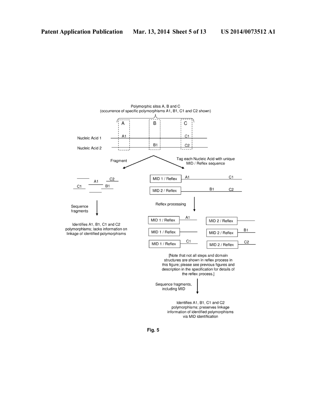 Compositions and Methods for Intramolecular Nucleic Acid Rearrangement - diagram, schematic, and image 06