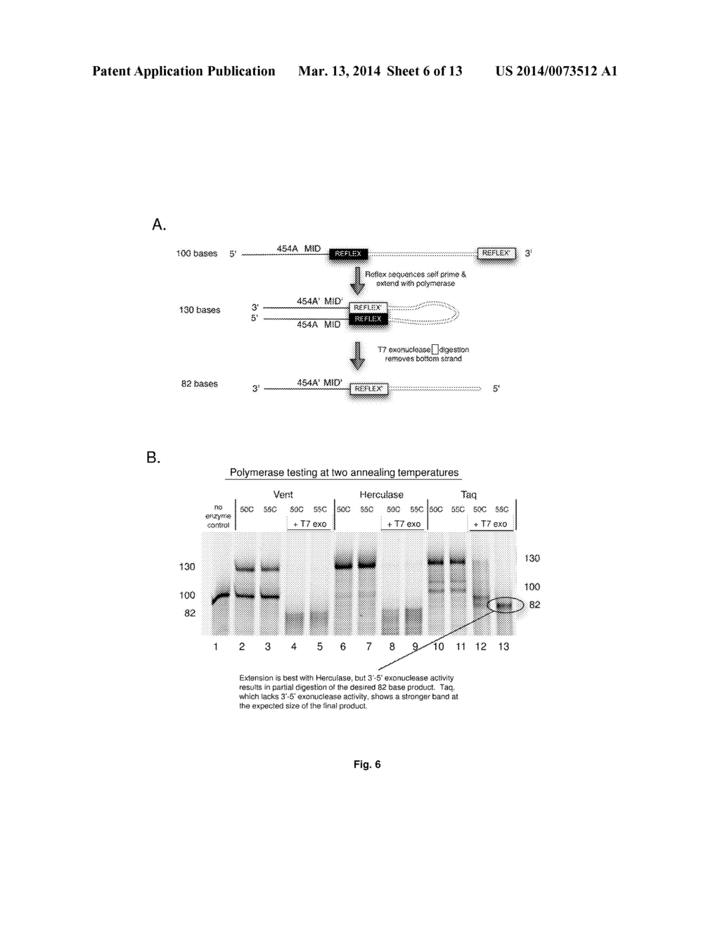 Compositions and Methods for Intramolecular Nucleic Acid Rearrangement - diagram, schematic, and image 07