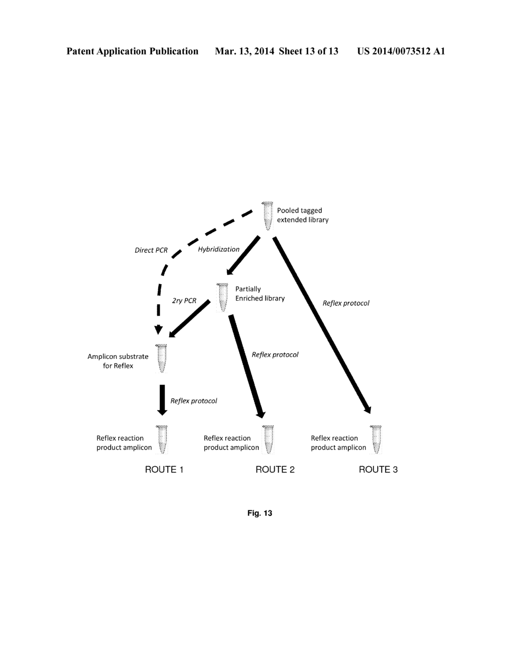 Compositions and Methods for Intramolecular Nucleic Acid Rearrangement - diagram, schematic, and image 14